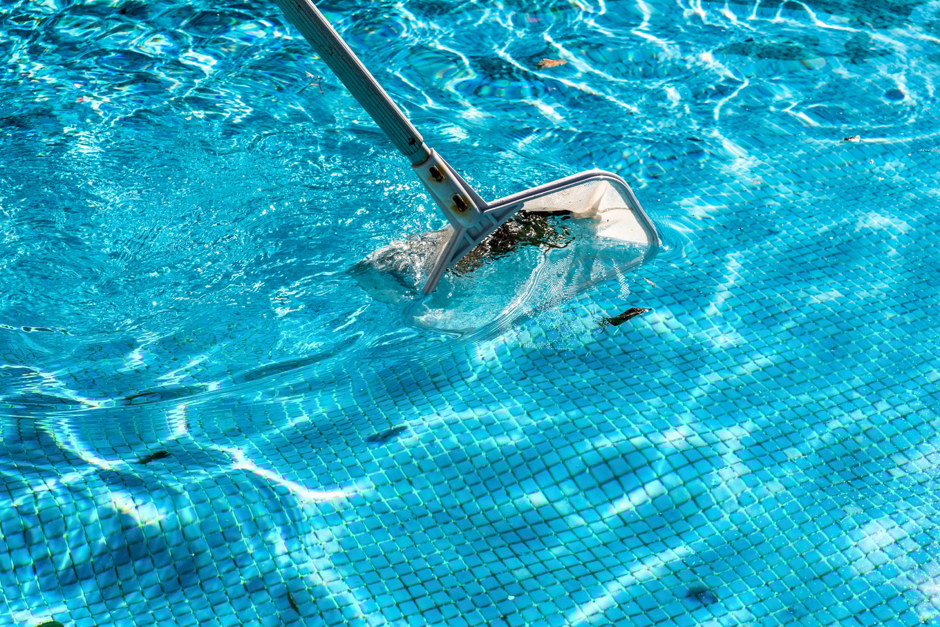 Cleaning Swimming Pool with Pool Net